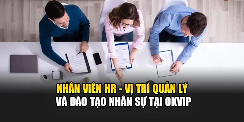 Nhân Viên HR - Vị Trí Quản Lý Và Đào Tạo Nhân Sự Tại OKVIP