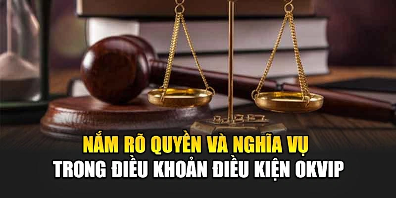 Nắm rõ quyền và nghĩa vụ trong điều khoản điều kiện OKVIP