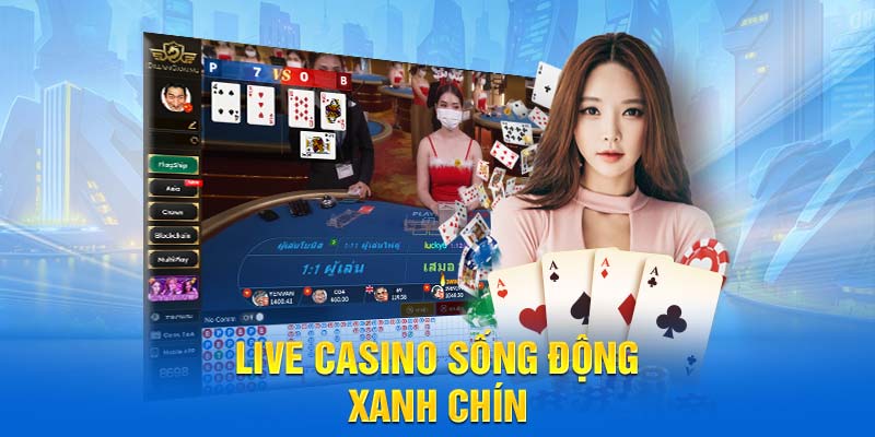 Live casino sống động, xanh chín
